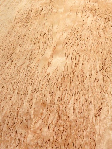 Birke maser holzfurnier - birke,