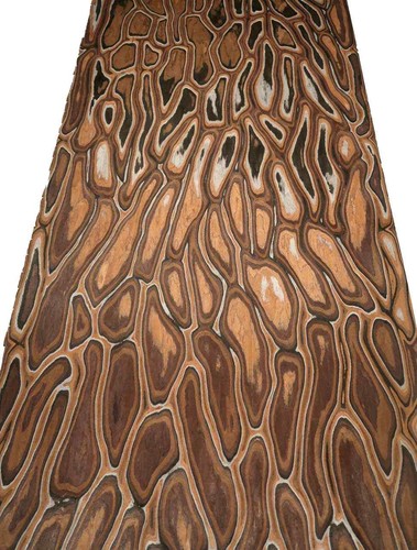 Anaconda furnier saraifo maser - furnier,