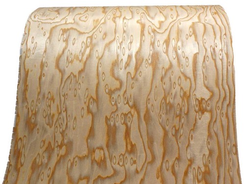 Eiche wurzelholz furnier maser - eiche,