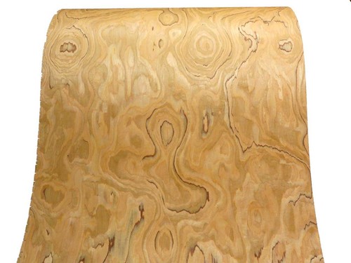 Wildolive holzfurnier saraifo - wildolive,