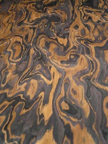 Makassar maser saraifo furnier - saraifo,