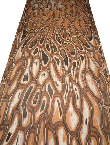 Anaconda furnier saraifo maser - furnier,