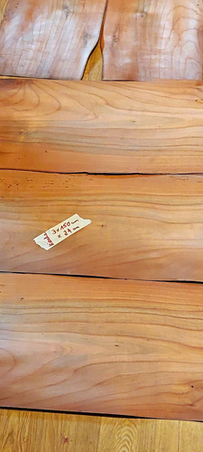 Holzfurnier blätter - holzfurnier-blätter, in