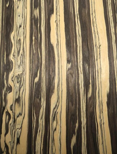 King ebony furnier saraifo - king,