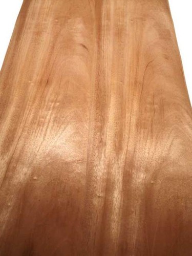 Mahagoni furnier - mahagoni,