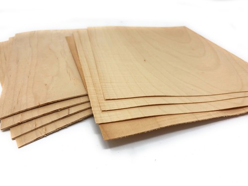 Furnier holz ahorn - holz,